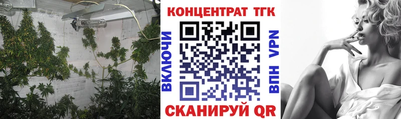 ТГК вейп с тгк Елизаветинская