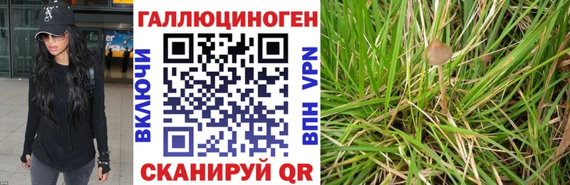 Галлюциногенные грибы MAGIC MUSHROOMS  Елизаветинская 